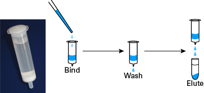 Lentivirus purification