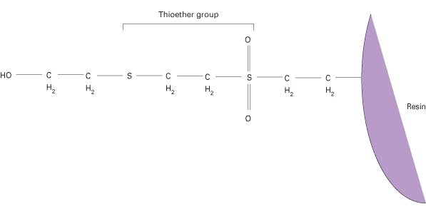 Structure of Thiophilic Resin