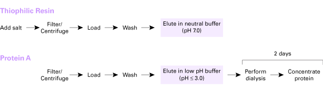 Purification using Thiophilic Resin vs Protein A