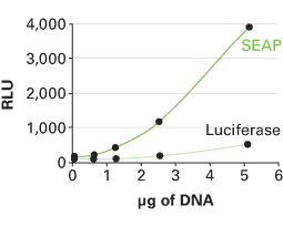 Comparison of the sensitivities of SEAP and firefly luciferase