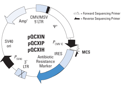 Composite retroviral vector map of Retro-X Q Vector Set Set