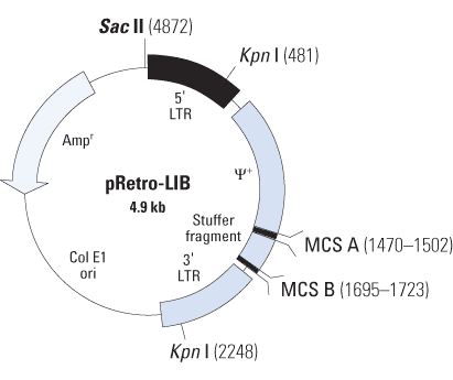 pRetro-Lib Vector map