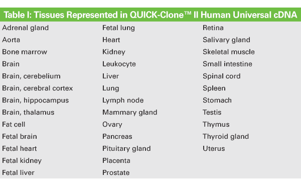 QUICK-Clone II Human Universal cDNA is an optimized mixture of over 30 QUICK-Clone cDNAs from normal human tissues