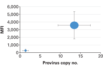 Lentiviral provirus copy number affects transgene expression levels in transduced cells