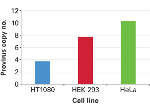 Equivalent virus amounts in different cell types result in different provirus (integrated lentivirus) copy numbers
