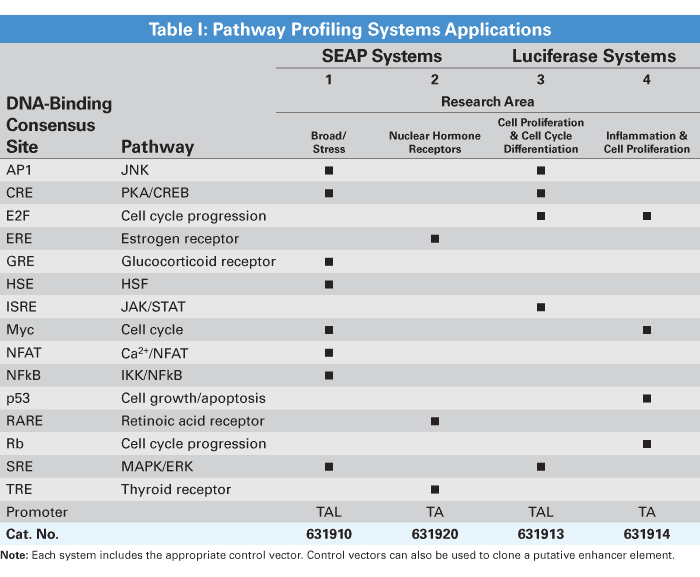Pathway profiling systems with SEAP or luciferase reporters