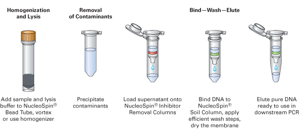 The NucleoSpin Soil procedure