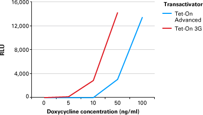 The Tet-On 3G system demonstrates higher sensitivity to doxycycline than Tet-On Advanced system