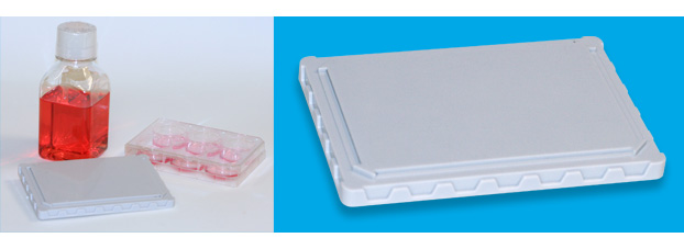 Magnetic separator for 96-well, 6-well, 24-well, and 12-well cell culture dishes