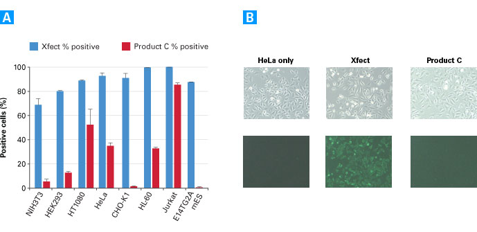 Protein transfection efficiencies across different cell lines: Xfect Protein Transfection Reagent vs. the leading competitor, Product C