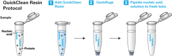 The five-minute QuickClean nucleic acid cleanup procedure