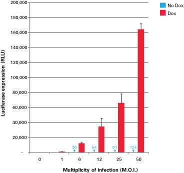 Expression increases with higher MOIs