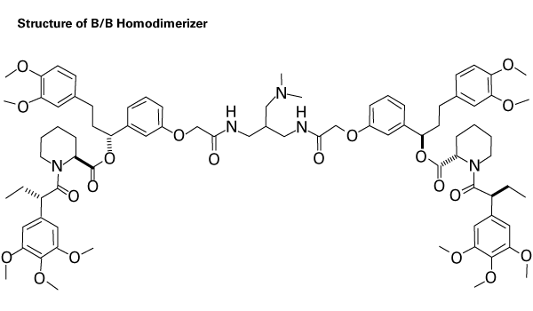 Molecular structure of the B/B Homodimerizer