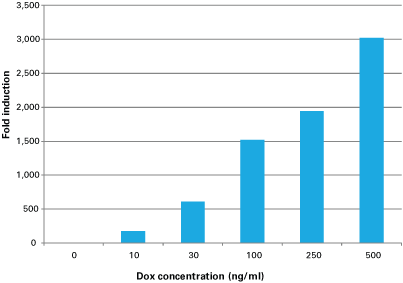 The Adeno-X Tet-On 3G systems generate very high fold induction, with up to 3,000-fold difference between induced and uninduced states