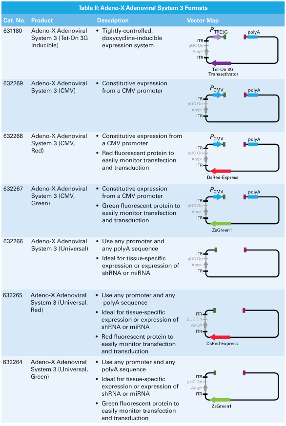 Adeno-X adenoviral system 3 is available in seven formats, including the most advanced tetracycline-inducible expression system, constitutive expression systems with or without fluorescent reporters, and universal systems that allow you to clone and express any entire expression cassette of your choice