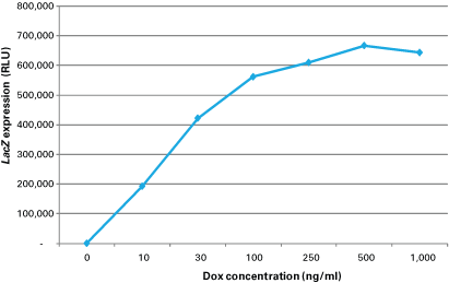 The Adeno-X Tet-On 3G systems are highly inducible