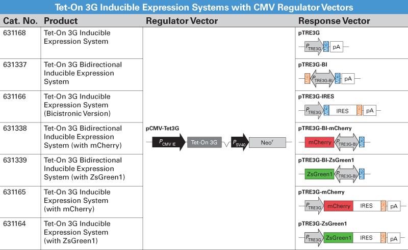 Tet-On 3G inducible expression systems with CMV regulator vectors