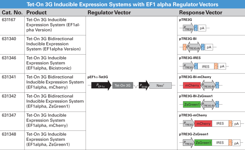 Tet-On 3G inducible expression systems with EF1-alpha regulator vectors