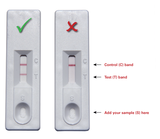 What to expect when measuring viral titer with Lenti-X or Adeno-X GoStix