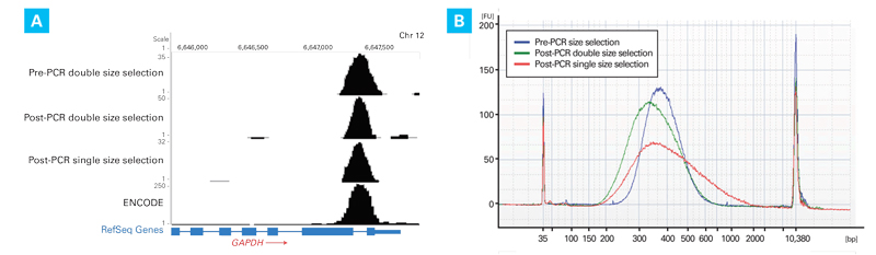 Performing size selection after amplification does not alter the quality of the data generated by the DNA SMART ChIP-Seq Kit