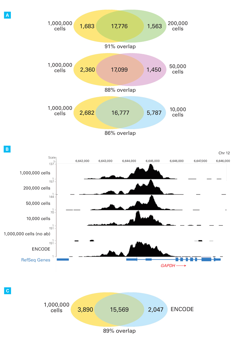 DNA SMART ChIP-Seq Kit libraries maintain consistent representation of sequences even at the lowest input levels
