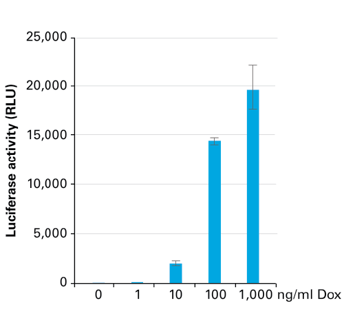 Induction of luciferase after transduction with TetOne-Luc Control AAV in the presence of different concentrations of Dox