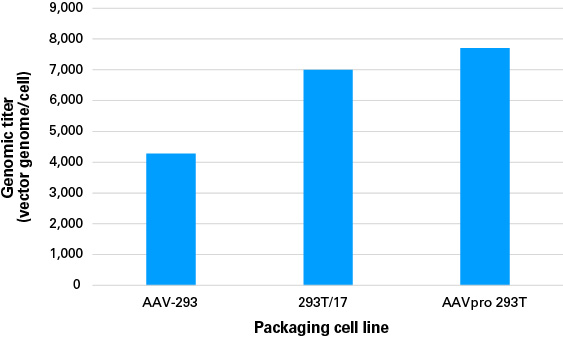 Graph showing AAV vector genome per cell for three packaging cell lines