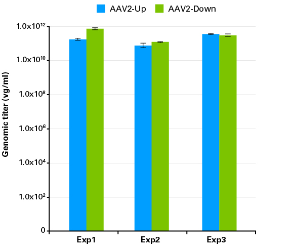 Consistent recovery of equally high genomic titers of AAV2-Up and AAV2-Down viral particles
