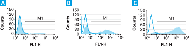 Expression increases with higher MOIs