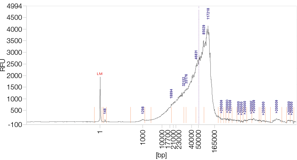 Recovery of large DNA fragments