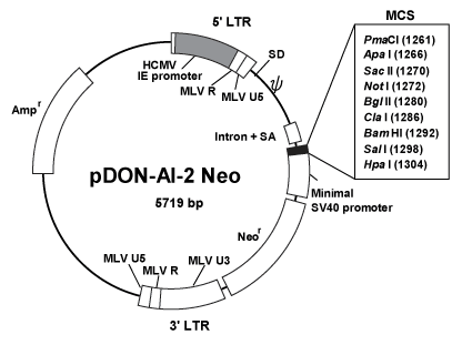 Vector map for pDON-AI-2-Neo