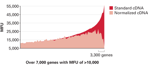 Reduction in abundance of highly expressed gene transcripts following cDNA normalization