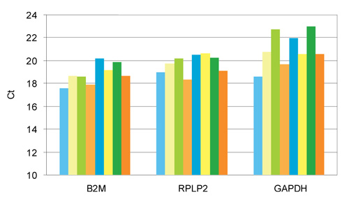 cDNA amplification from single cells