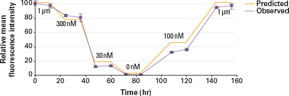 Predictable and reversible Shield1-dependent regulation of intracellular protein levels