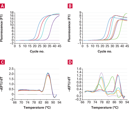Reaction specificity—performance of Takara Bio TB Green Advantage qPCR Premix vs. Competitor R's qPCR mix using a Roche LightCycler.