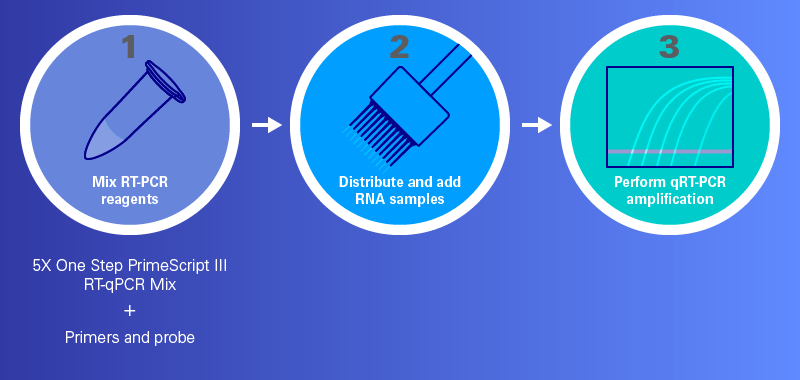 Analysis of gene expression using 5X One Step PrimeScript III RT-qPCR