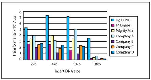 Comparison of ligation efficiency with various DNA ligation sites