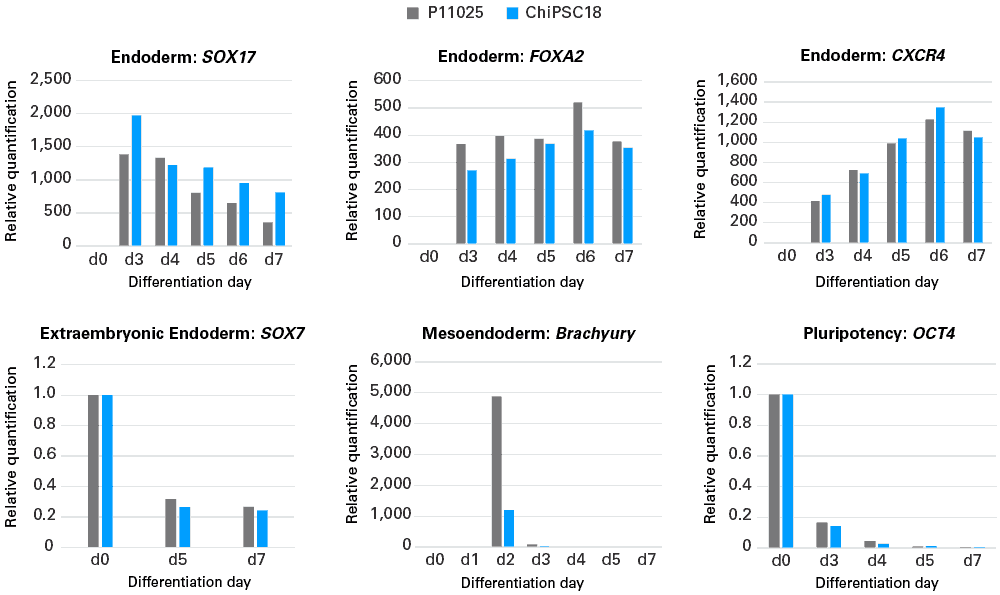 mRNA expression profiles of definitive endoderm cells being generated from two hiPS cell lines (ChiPSC18 and P11025) using the Cellartis Definitive Endoderm Differentiation Kit with DEF-CS Culture Medium