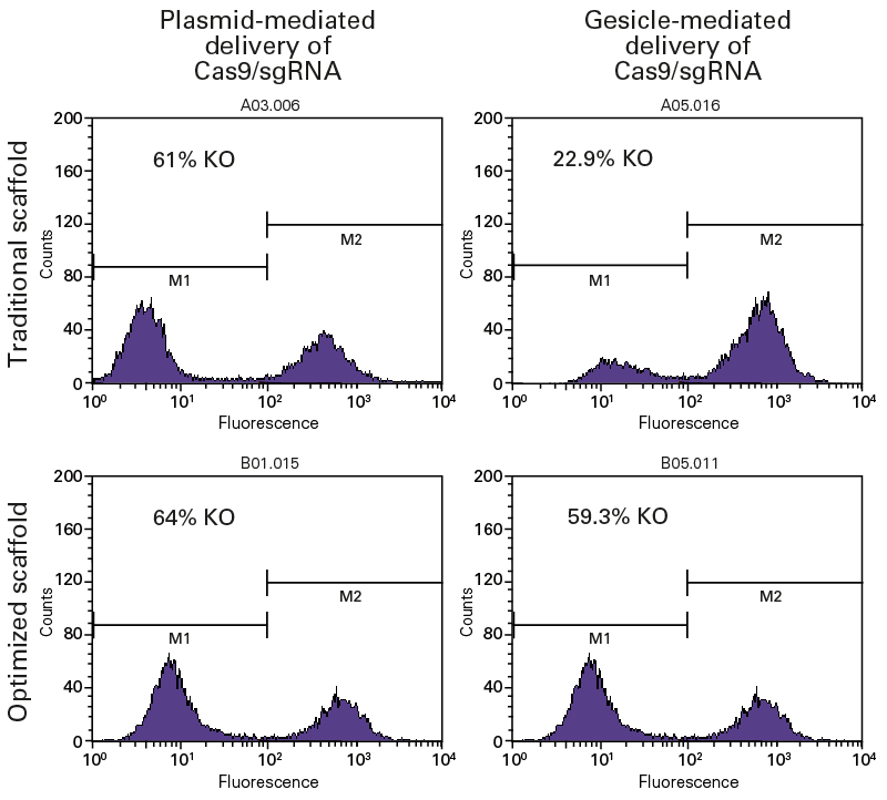 Editing efficiency is increased by an improved sgRNA scaffold design in gesicles