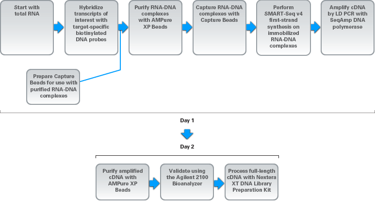 SMARTer Target RNA Capture for Illumina protocol overview