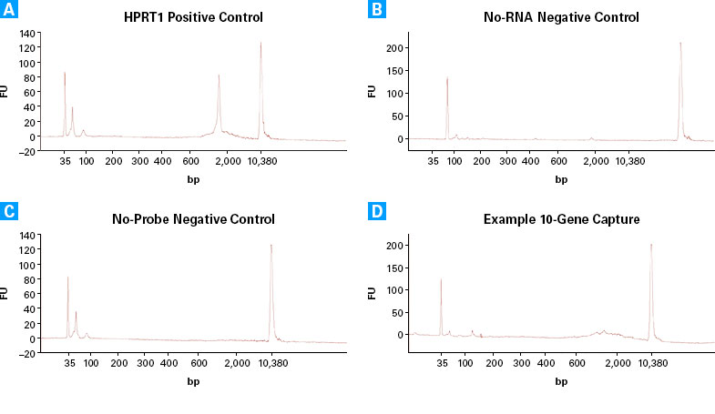 Example electropherogram results from Agilent 2100 Bioanalyzer