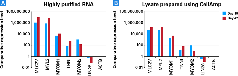 Gene expression profiling of iPSC-derived cardiomyocytes with CellAmp Direct TB Green RT-qPCR Kit