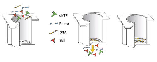 NucleoFast purification