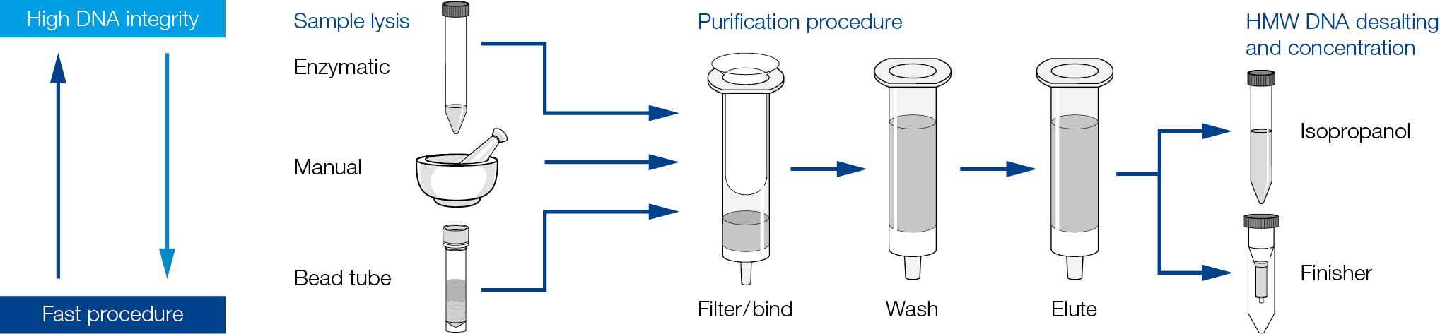Workflow for the NucleoBond HMW DNA kit