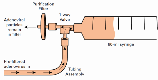  The filtration apparatus of the Adeno-X adenovirus purification kits are preassembled and includes a one-way valve to simplify the purification process