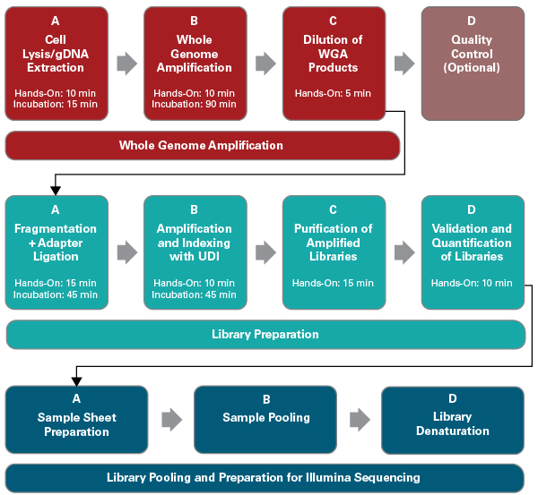 Embgenix PGT-A workflow