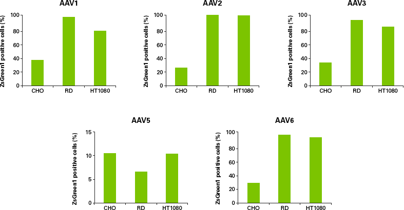 flow cytometry confirms infectivity of purified AAV vectors