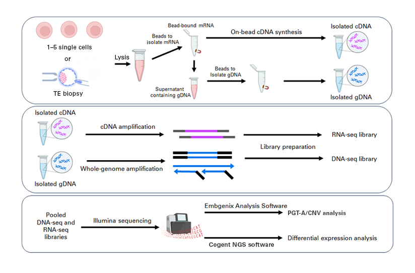 Embgenix GT-omics workflow