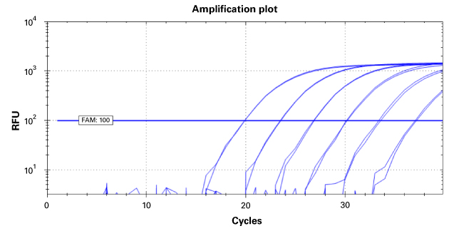 Dynamic range of 5X PrimePath Probe qPCR Kit, no ROX, GPR