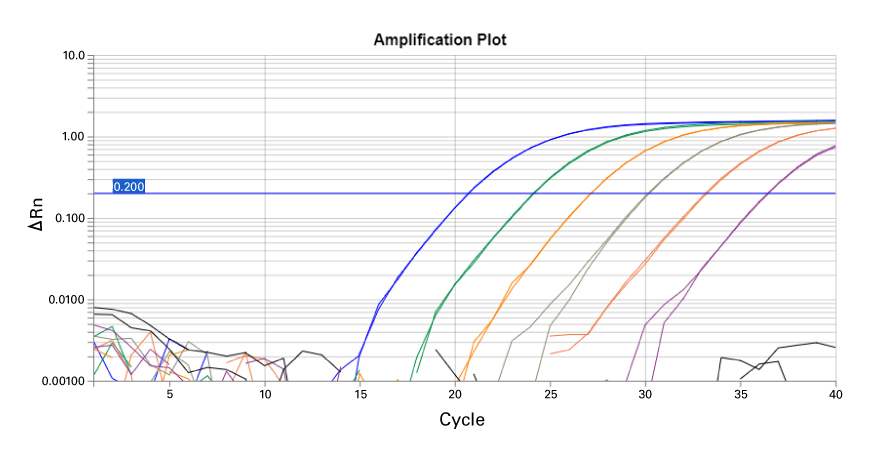 Dynamic range of 5X Primepath Probe qPCR Kit, ROX plus, GPR